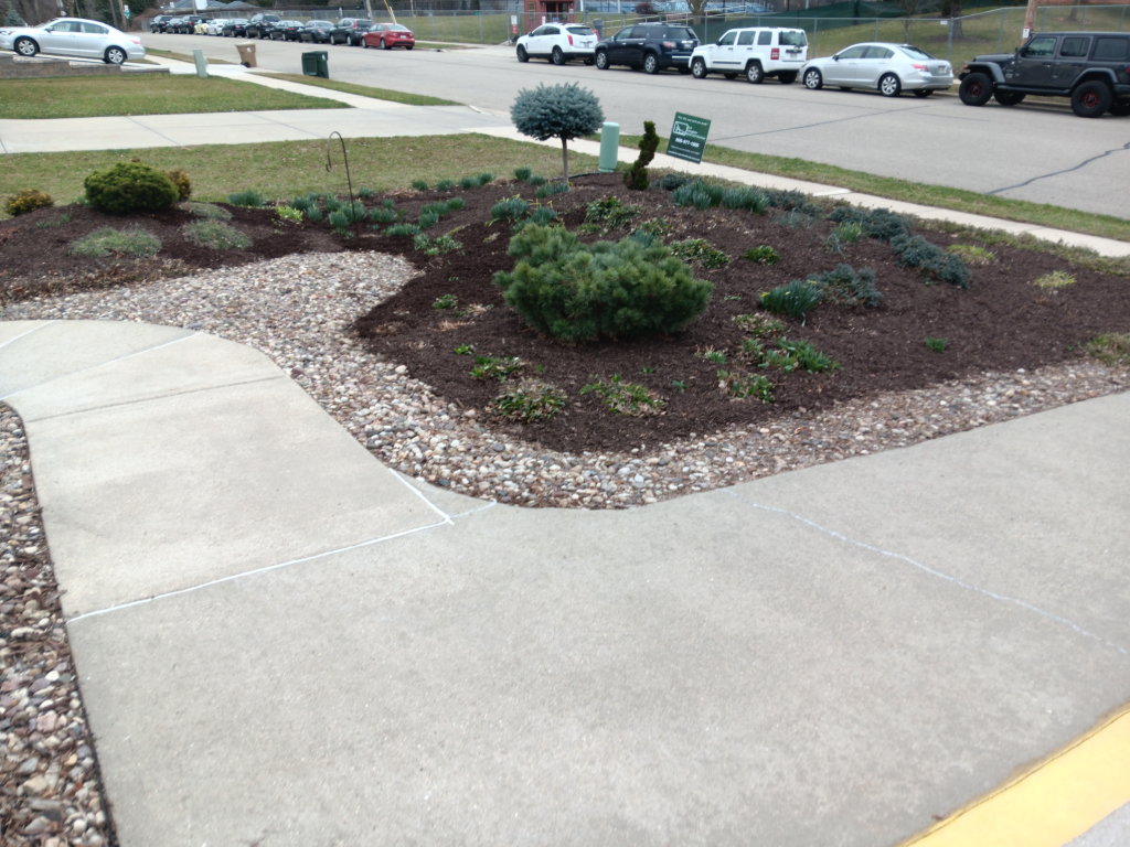 Shane Elms_Shane Elms_20240318_122309