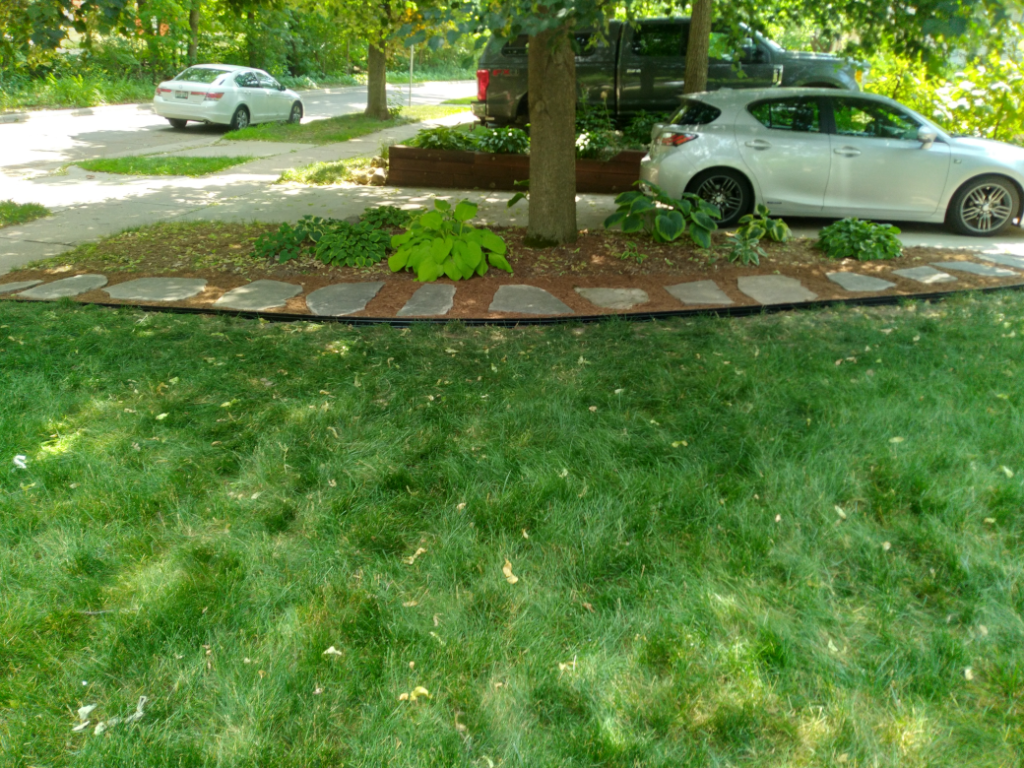 Wendi Super_20230622_143116